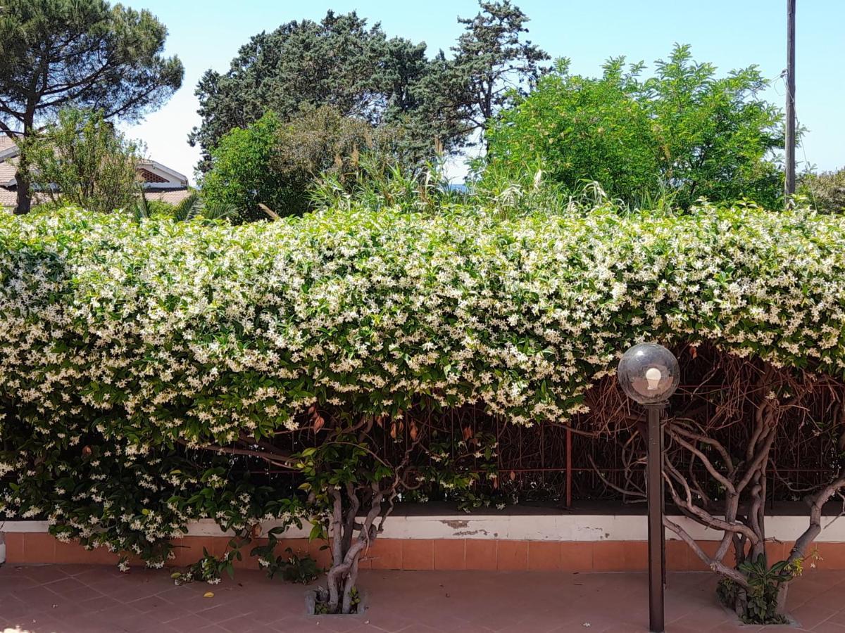 Guest house al mare Civitavecchia Extérieur photo